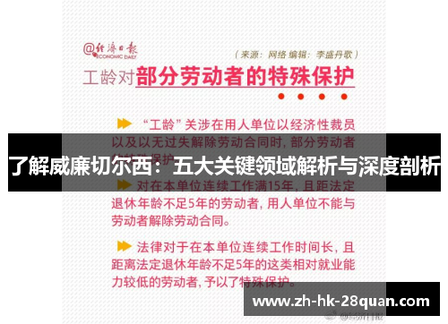 了解威廉切尔西：五大关键领域解析与深度剖析