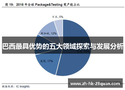 巴西最具优势的五大领域探索与发展分析
